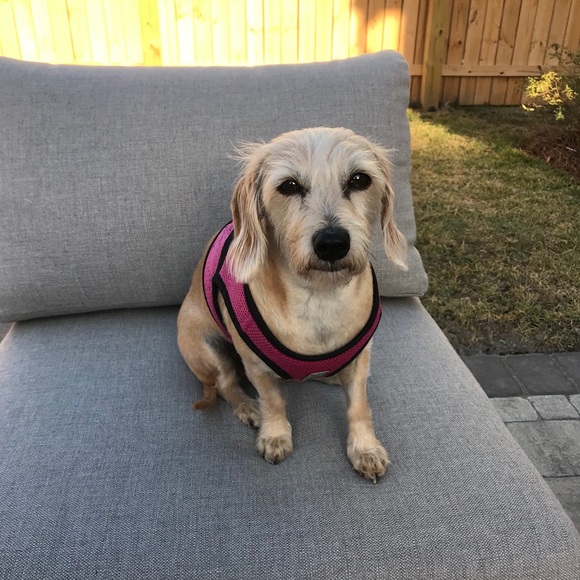 Meet your Posher, Linda - Picture 1 of 1